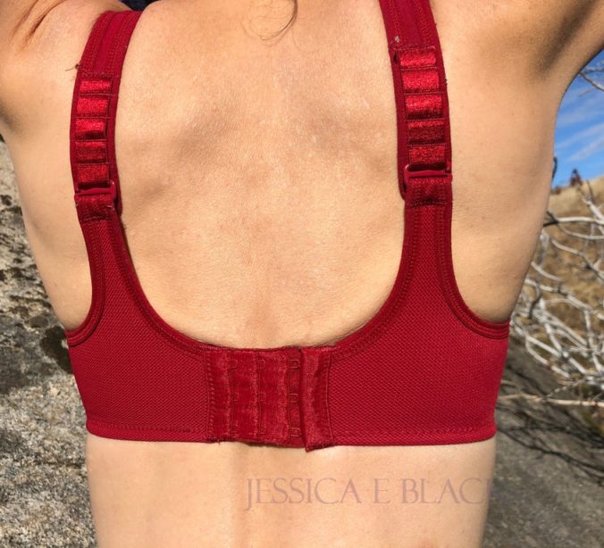 best sports bra for dressage