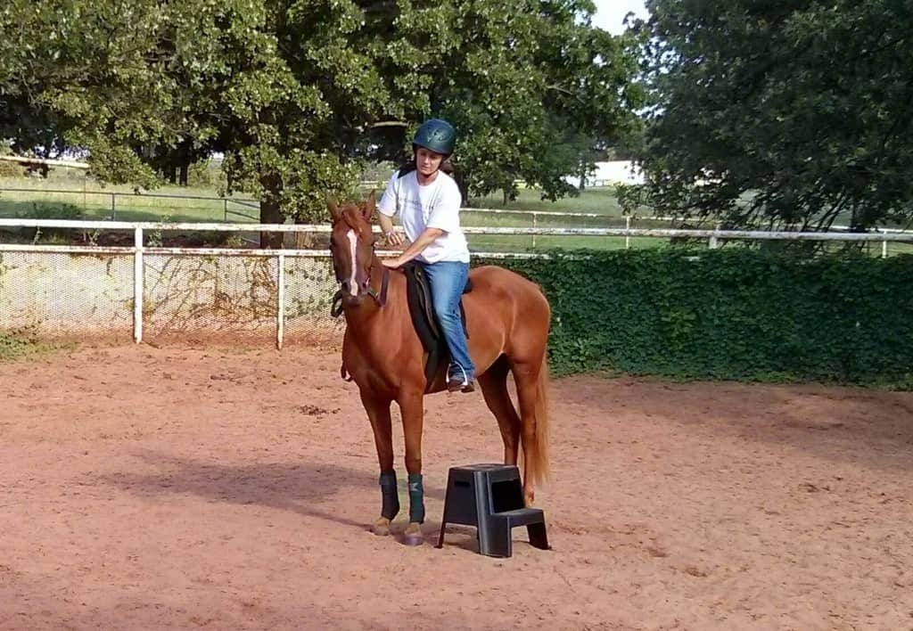 Equine Bone Maturity When Can I Start Training A Horse